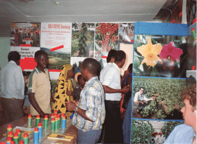 Feria en DAR ES Salam - Tanzania