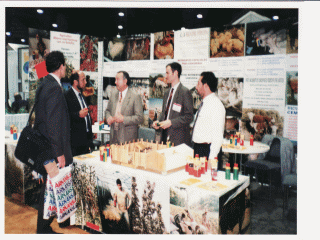 Feria en Atlanta