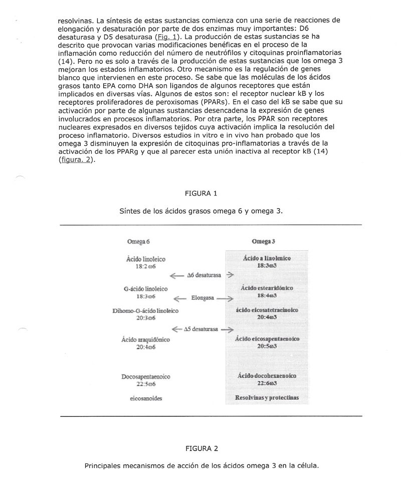 Omega 3, material divulgativo — lámina 10 de 16