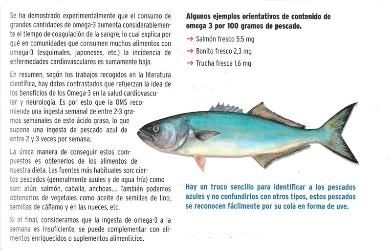 Omega 3, material divulgativo — lámina 16 de 16