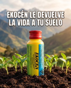 recuperar un suelo agotado con Ekocén