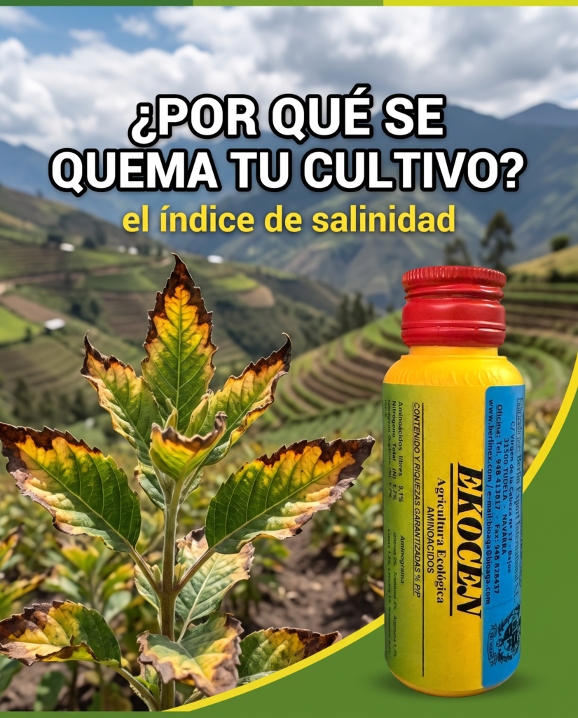 evitar que se quema el cultivo con el abono